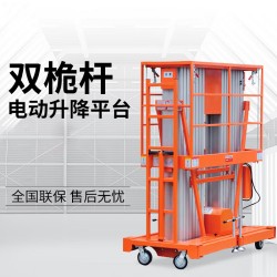 双桅杆式高空作业平台升高10米m载重200-300kg